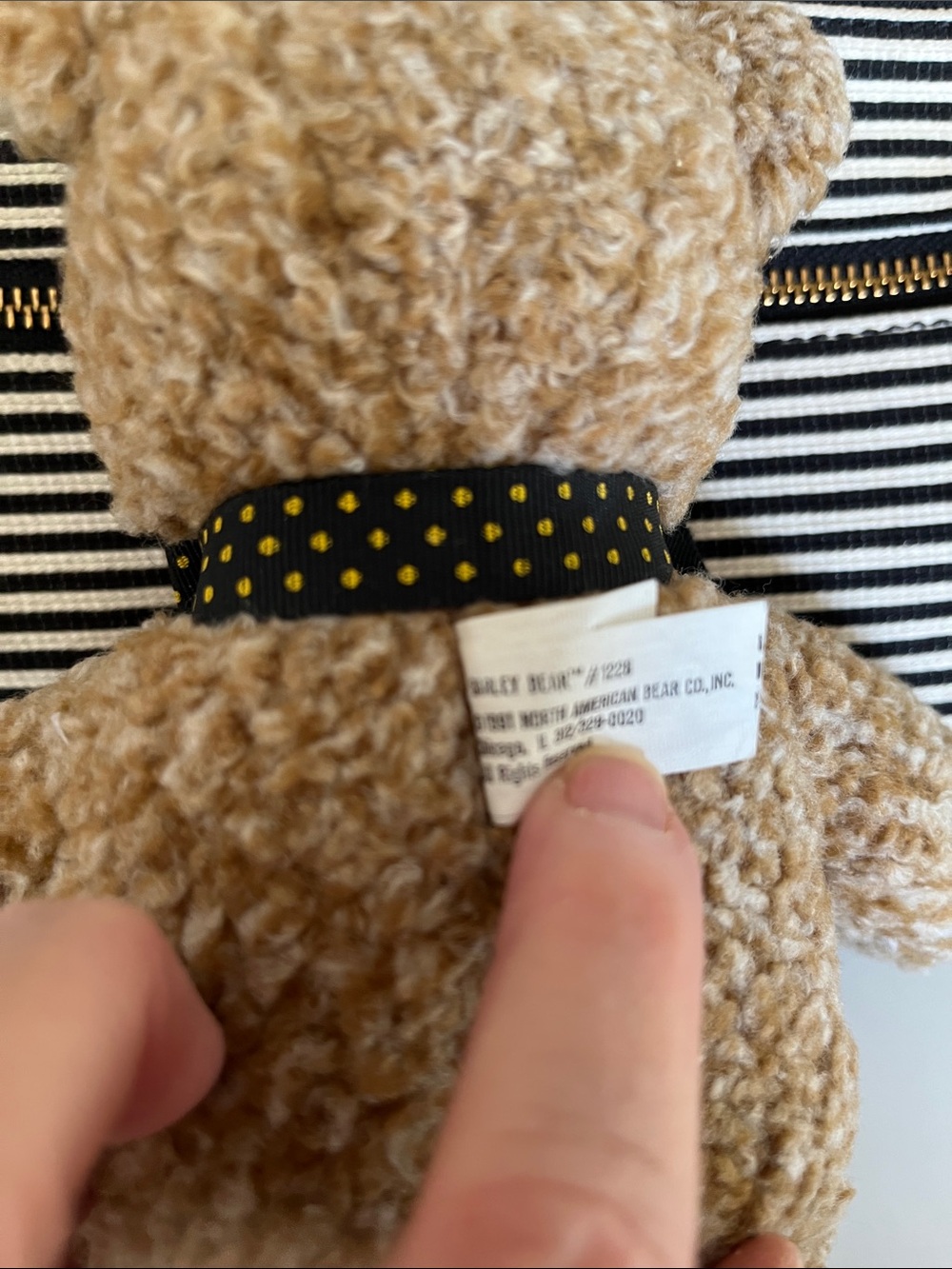 “Barley Bear” Stuffed Toy - Tan with Black Polka Dot Bow - Picture 4 of 12